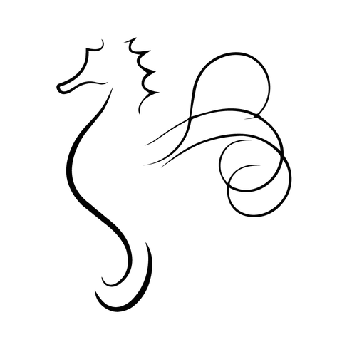 boite de nuit l'hilarios